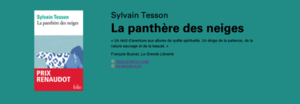 vignette tesson