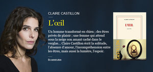 Claire Castillon - L'oeil